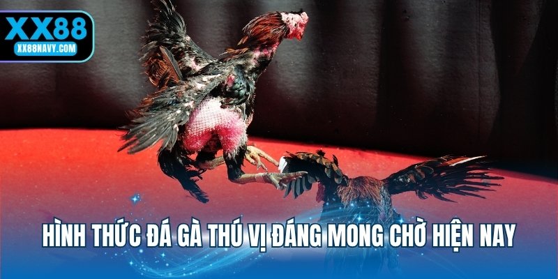 Hình thức đá gà thú vị đáng mong chờ hiện nay