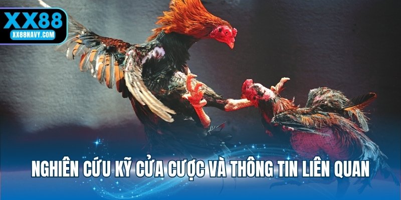 Nghiên cứu kỹ cửa cược và thông tin liên quan